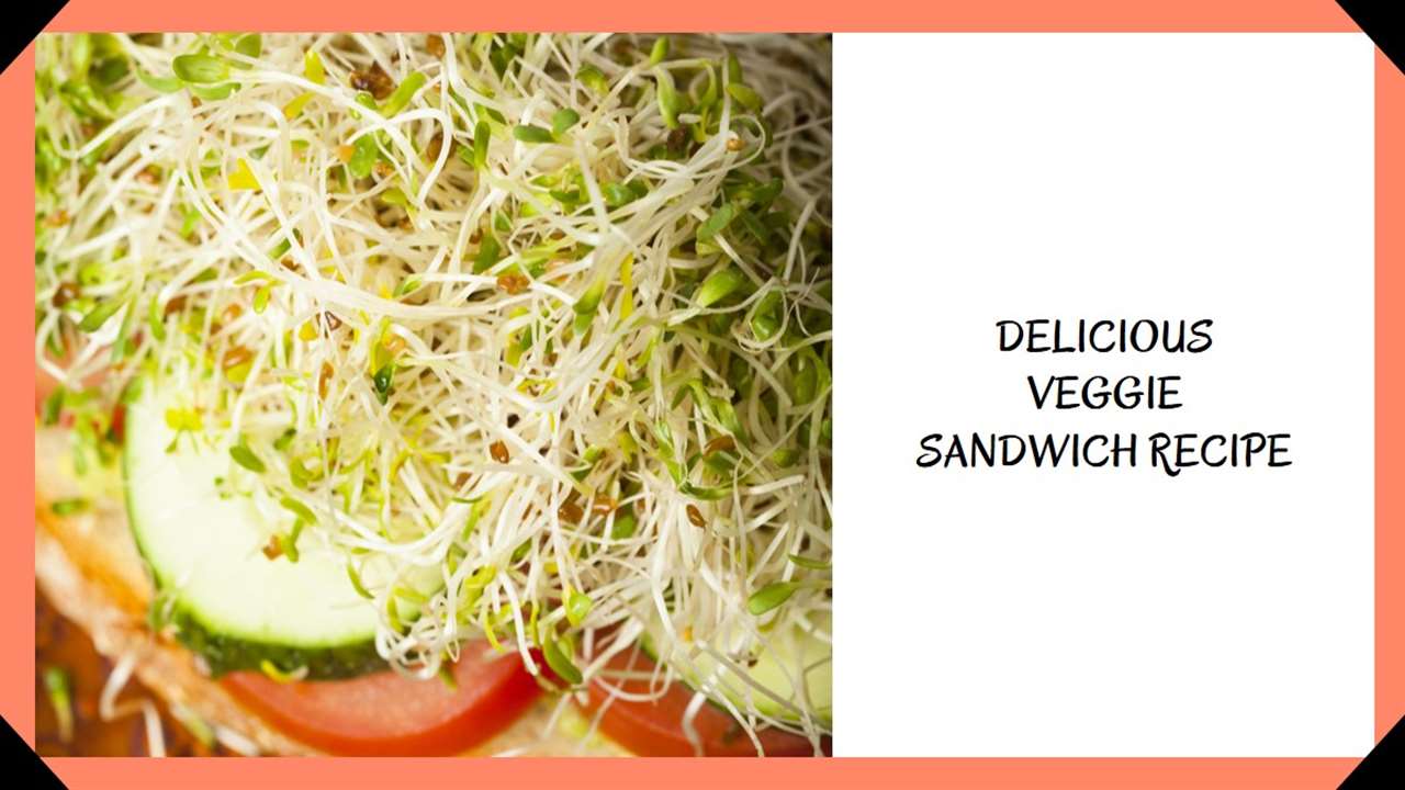 Jimmy John's Veggie Sandwich Recipe