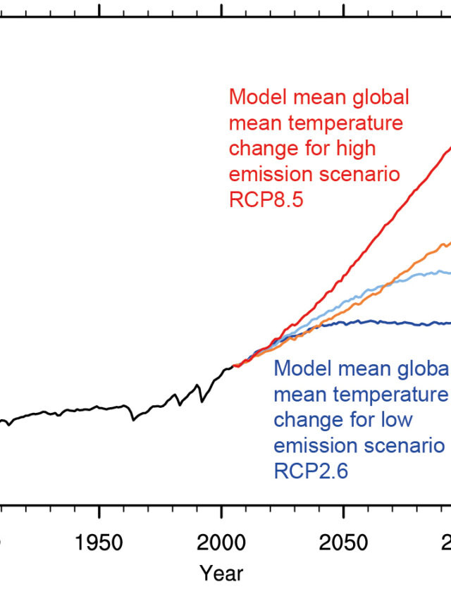 Climate Forecast For 2024 Made By Scientists